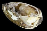 Chalcedony Replaced Gastropod With Druzy Quartz - India #111735-1